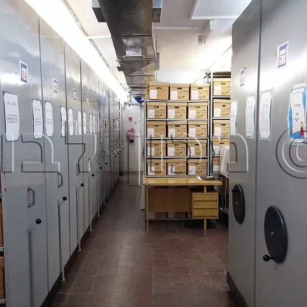 מכון לבון - מגנזה