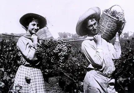 אוסף תצלומי אברהם סוסקין