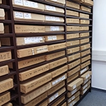 אוספי הארכיון